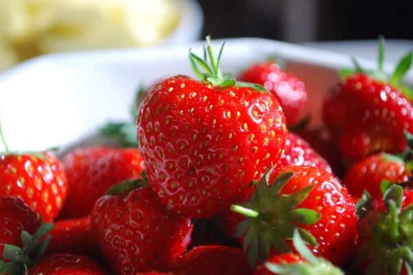 La Gastronomie en Périgord : La fraise du Périgord